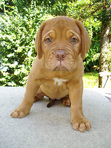 Zoya 8 weeks